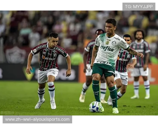 维特斯足球俱乐部欧冠比赛表现及前景展望