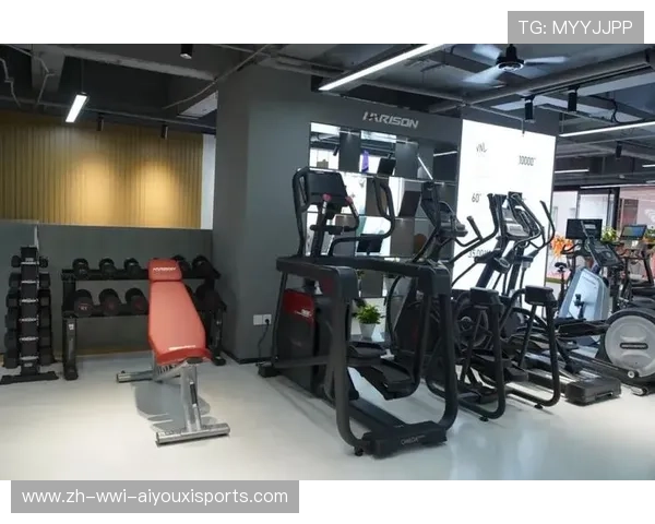 南京家用健身器材市场热门品牌与产品对比